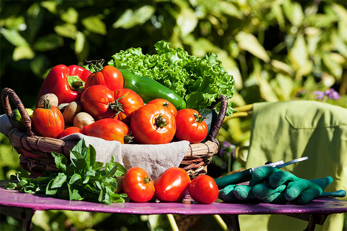Organic materials- Apac Entrepreneur